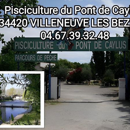 Tiny House 3 Personnes Soeursgrises Beziers Centre Historique Coeur De L'Herault Capitale D'Occitanie 외부 사진