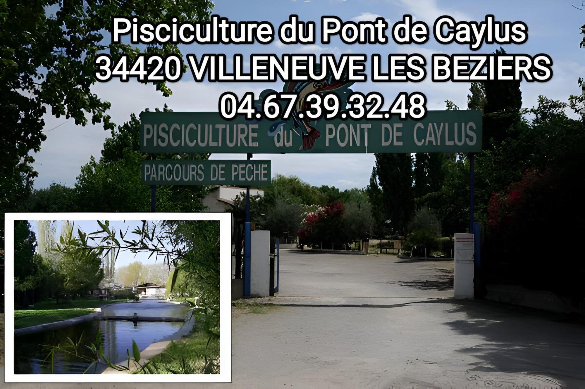 Tiny House 3 Personnes Soeursgrises Beziers Centre Historique Coeur De L'Herault Capitale D'Occitanie 외부 사진